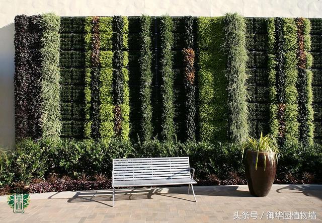 令人傾倒的“瀑布式”植物墻