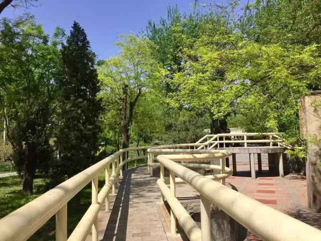 北京藏著一座歐洲園林:人定湖公園