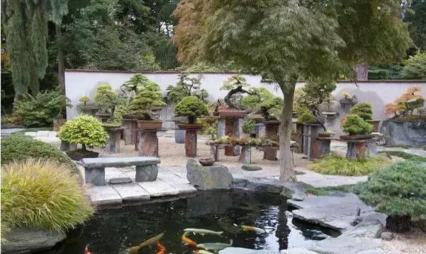 盆景——從園林中走出來的造型藝術