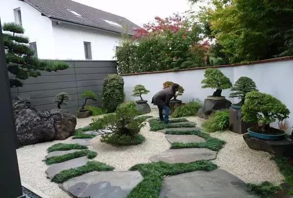 盆景——從園林中走出來的造型藝術