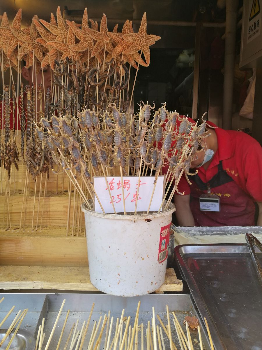 美國景觀專業學生來華交流學習1