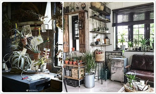 花藝讓商品因植物變得讓人難以抗拒