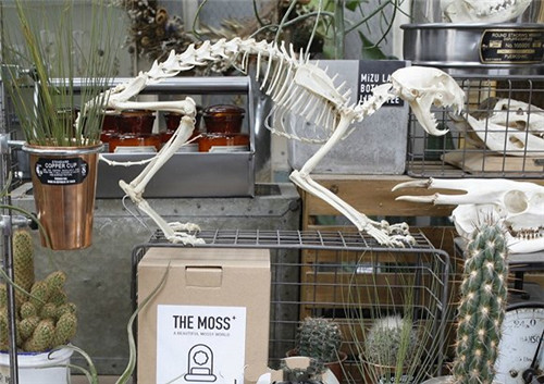 花藝讓商品因植物變得讓人難以抗拒