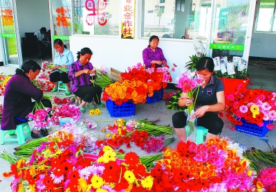 一個偏遠貧困小縣如何發展為鮮切花之鄉?
