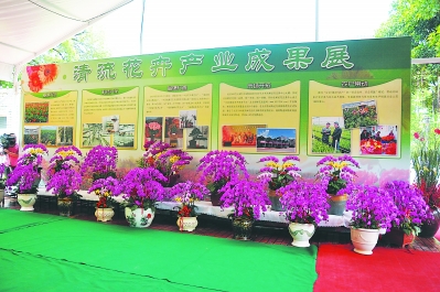 一個偏遠貧困小縣如何發展為鮮切花之鄉?