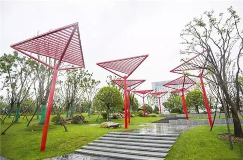 武漢最大江灘廣場的雨水花園