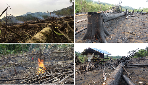 中科院完成第五次緬甸聯(lián)合科學(xué)考察