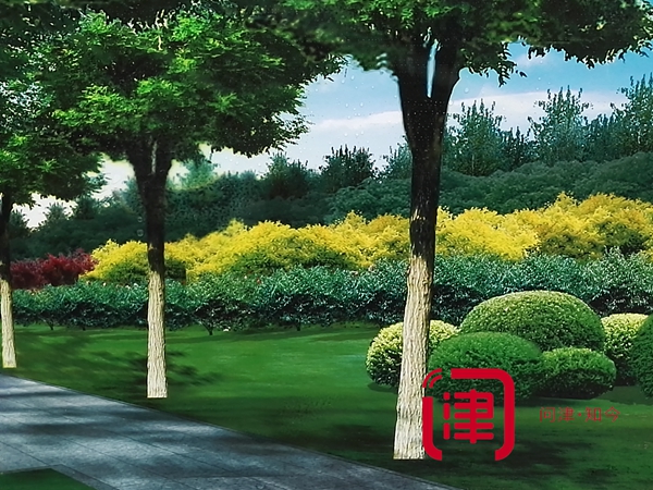 迎全運天津要建這么多公園！各種綠化走起