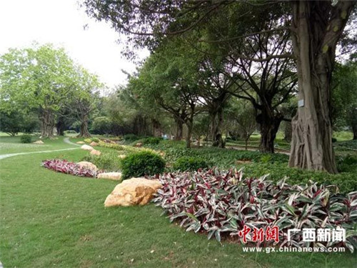 廣西南寧南湖公園將建成“流淌的城市花園”