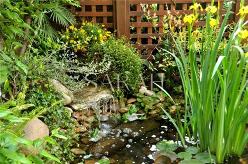 花園設計“園集獎”優秀作品：薩拉的花園