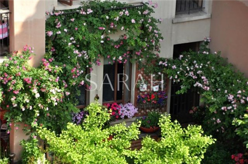 花園設計“園集獎”優秀作品：薩拉的花園