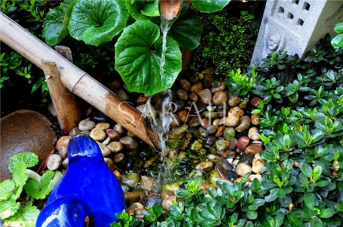 花園設計“園集獎”優秀作品：薩拉的花園