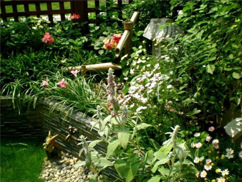 花園設計“園集獎”優秀作品：薩拉的花園