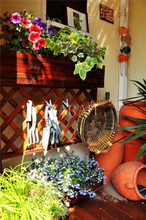 花園設計“園集獎”優秀作品：薩拉的花園