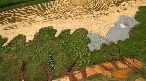 老農民用植物種出一副梵高名畫