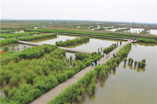 鳥類天堂——河北唐山曹妃甸濕地