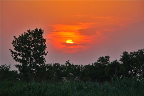鳥類天堂——河北唐山曹妃甸濕地