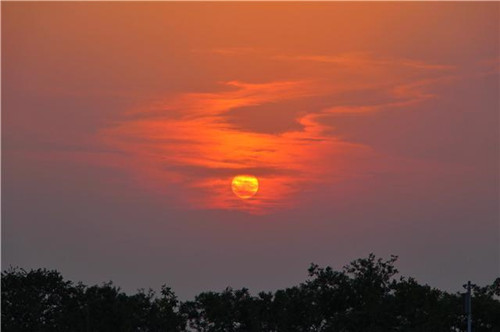 鳥類天堂——河北唐山曹妃甸濕地