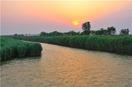 鳥類天堂——河北唐山曹妃甸濕地