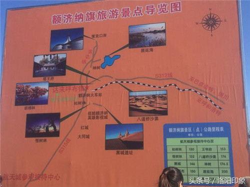 內蒙古自治區額濟納旗胡楊之美