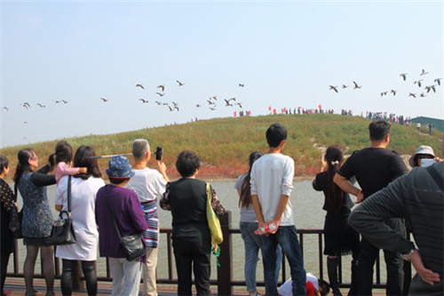 我國東部沿海保存最為完好的生態(tài)區(qū)之一