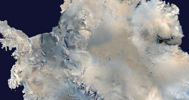 研究發現南極洲曾經被植物覆蓋