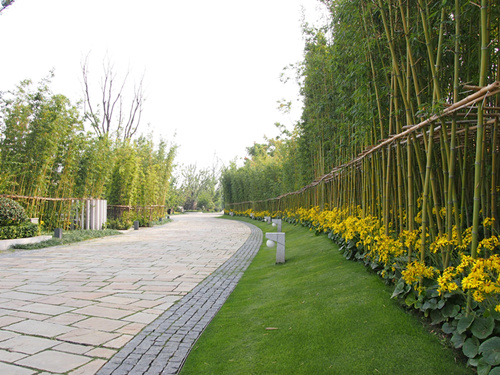 案例賞析:蘇州棠北別墅