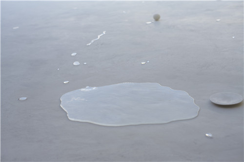 大師訪談錄：西澤立衛