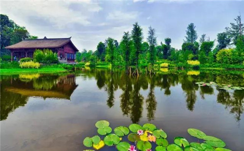 重慶最美五大濕地公園