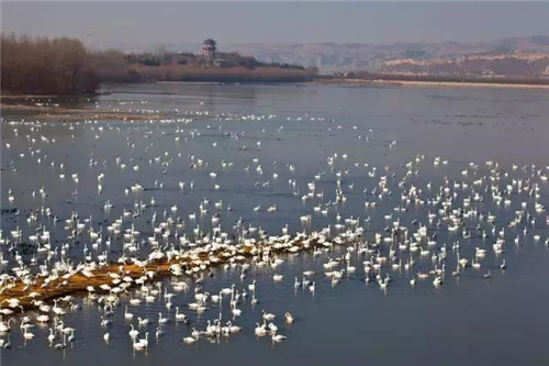 重慶最美五大濕地公園
