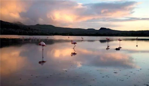 全球八大截然不同的國(guó)家公園