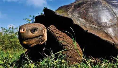 全球八大截然不同的國(guó)家公園