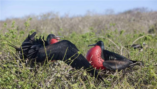 全球八大截然不同的國(guó)家公園