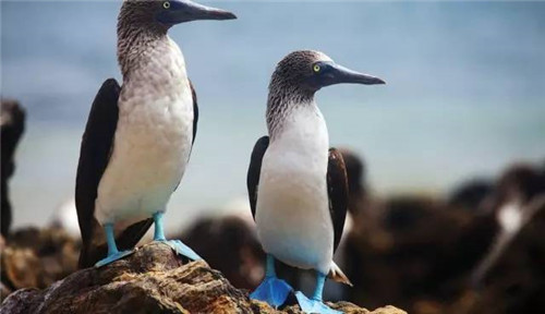 全球八大截然不同的國(guó)家公園