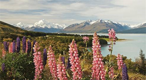 全球八大截然不同的國(guó)家公園