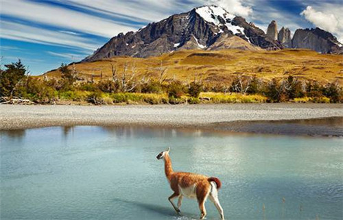 全球八大截然不同的國家公園