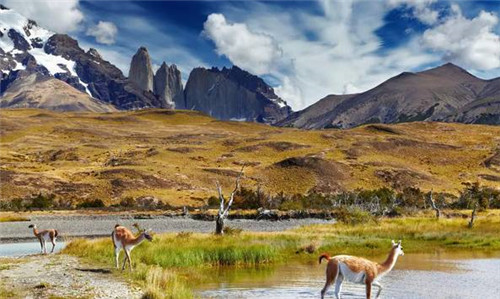 全球八大截然不同的國家公園