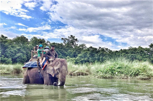全球八大截然不同的國家公園