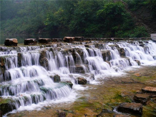 山西動(dòng)植物資源寶庫(kù)——晉城蟒河