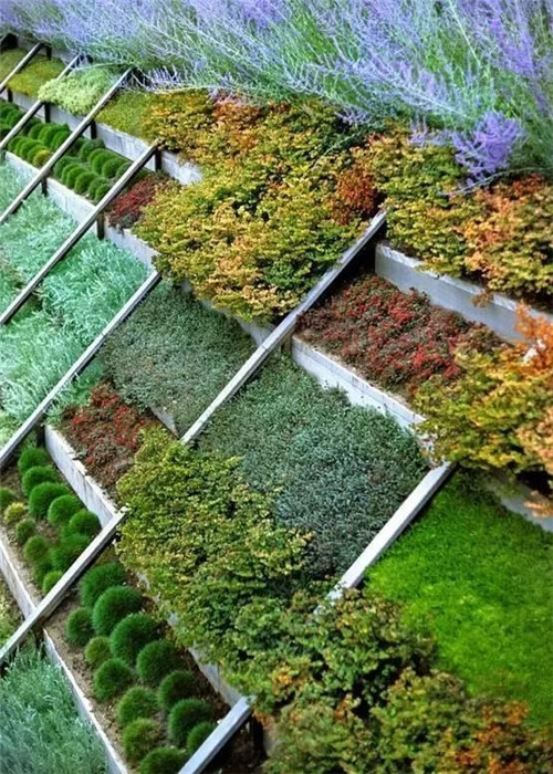 坡地庭院，別具一格的美