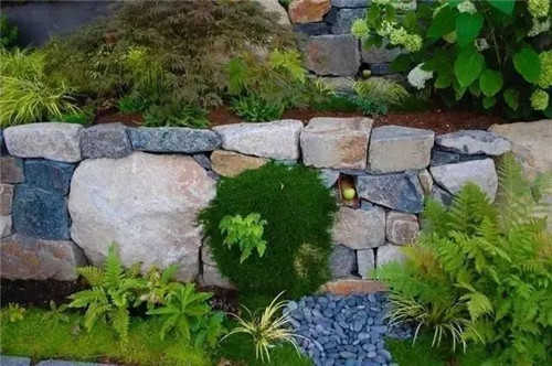 景觀設(shè)計:石頭縫里的景觀