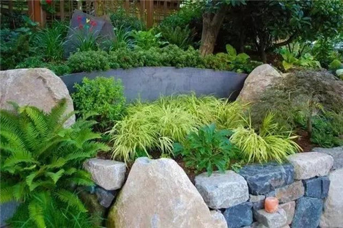 景觀設(shè)計:石頭縫里的景觀