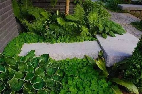 景觀設(shè)計：石頭縫里的景觀