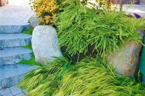 景觀設(shè)計(jì)：石頭縫里的景觀