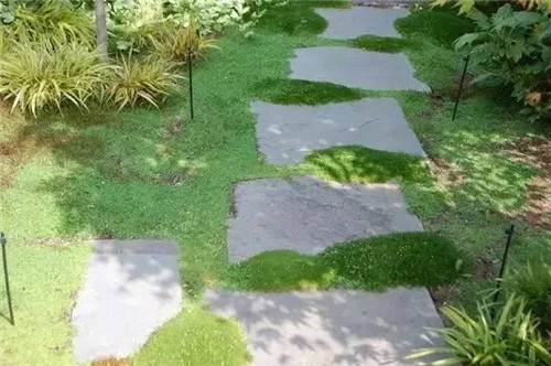 景觀設(shè)計(jì)：石頭縫里的景觀