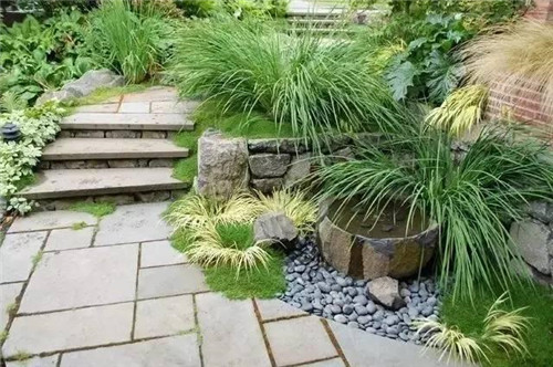 景觀設(shè)計(jì)：石頭縫里的景觀