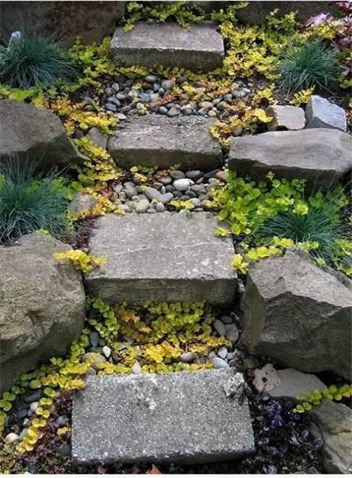 景觀設計：石頭縫里的景觀