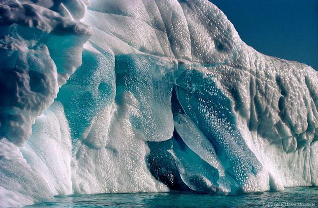 世界各大洲最出名的自然保護區