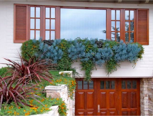 精美絕倫的多肉植物園林景觀美不勝收！