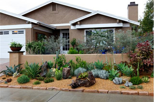 精美絕倫的多肉植物園林景觀美不勝收！